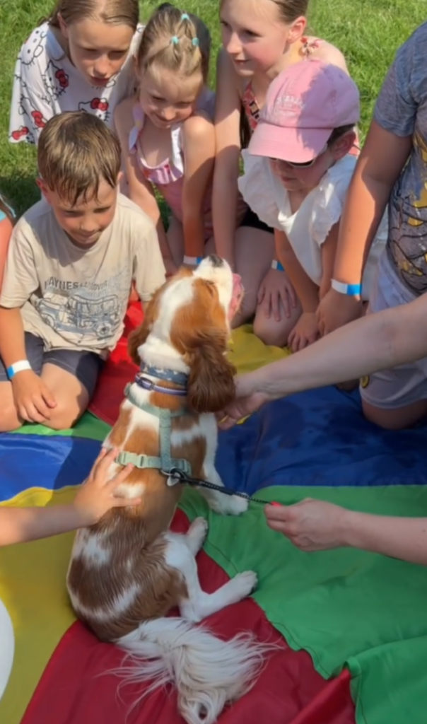 Zakończenie sezonu pływackiego w Akademii Pirania obraz 2026 08 06 161803746